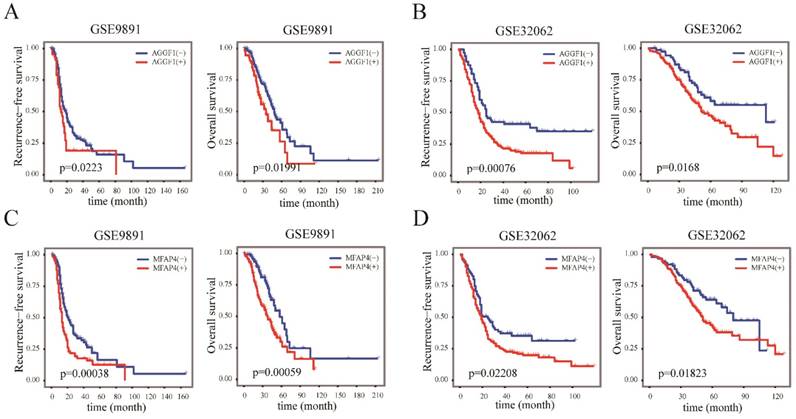 J Cancer Image