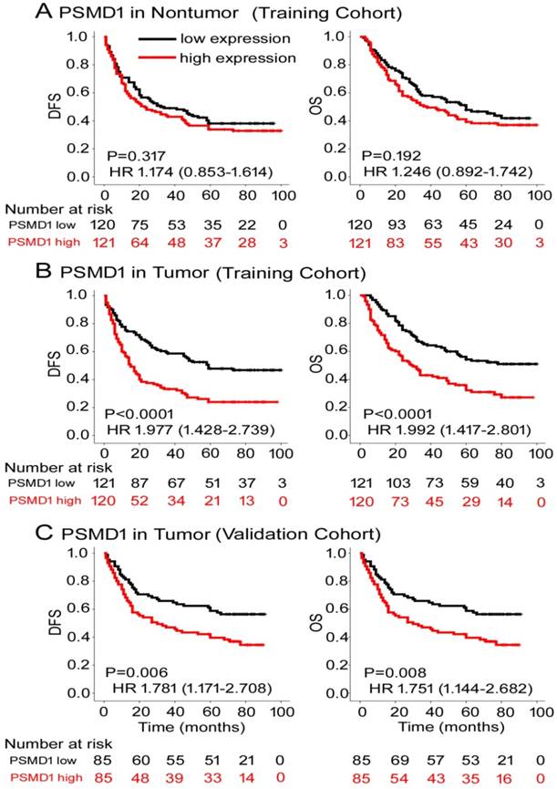 J Cancer Image