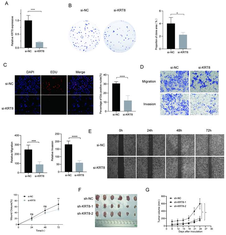 J Cancer Image