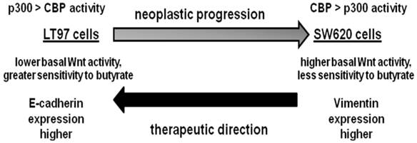 J Cancer Image