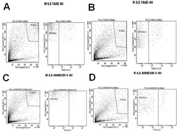 J Cancer Image