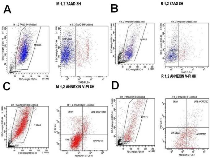 J Cancer Image