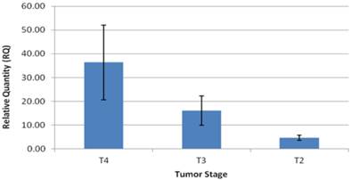 J Cancer Image