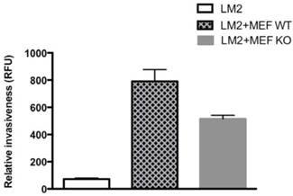 J Cancer Image