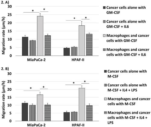 J Cancer Image