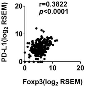 J Cancer Image