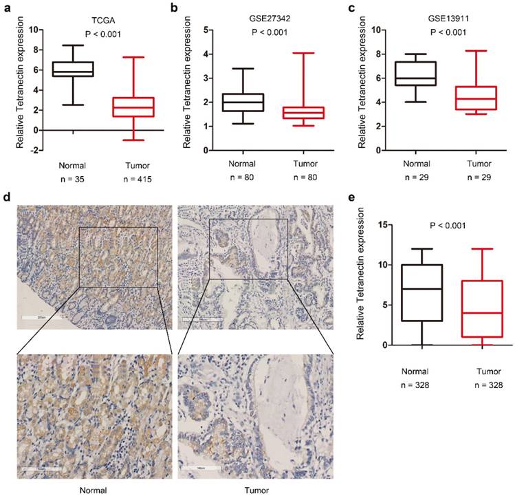 J Cancer Image