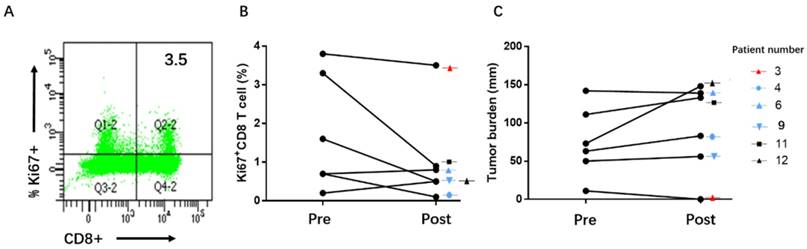 J Cancer Image