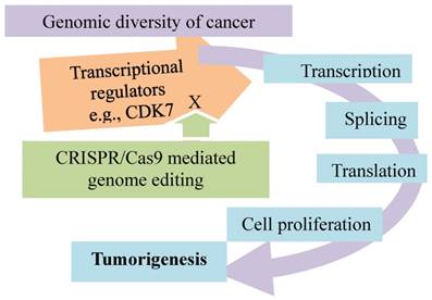 J Cancer Image