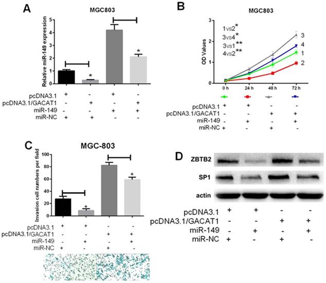 J Cancer Image