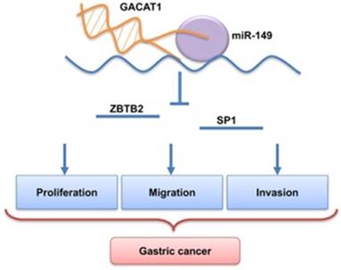 J Cancer Image