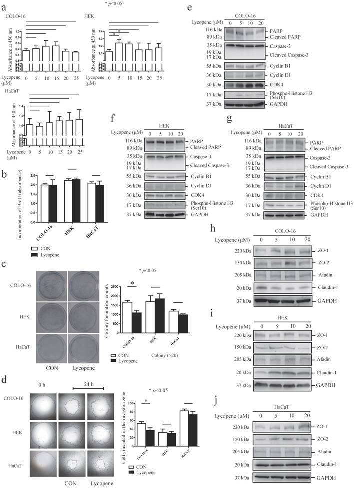 J Cancer Image