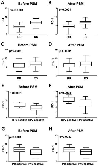 J Cancer Image