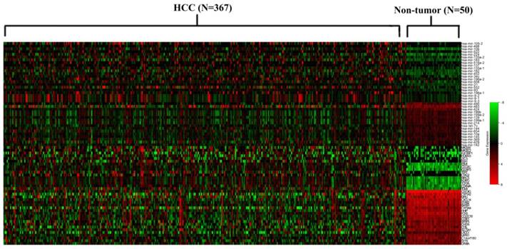 J Cancer Image