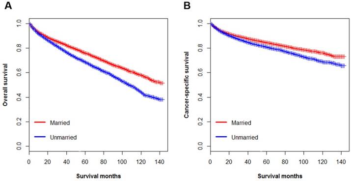 J Cancer Image