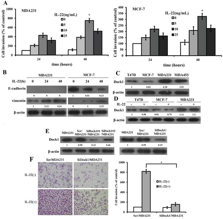 J Cancer Image