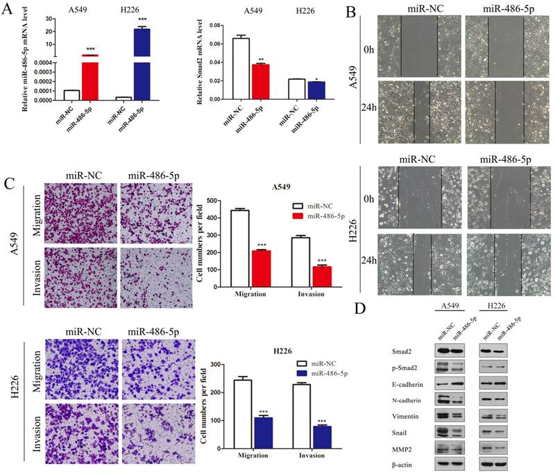 J Cancer Image