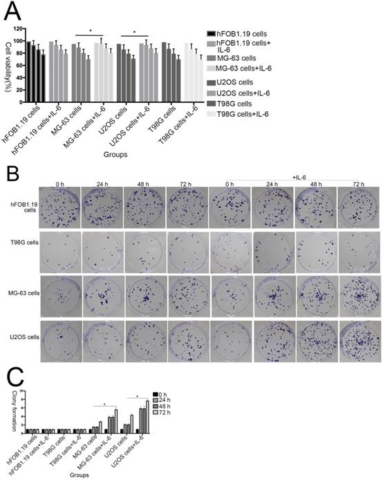 J Cancer Image