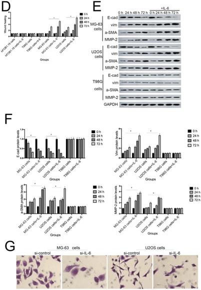 J Cancer Image