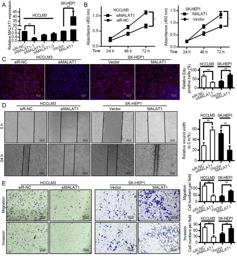 J Cancer Image