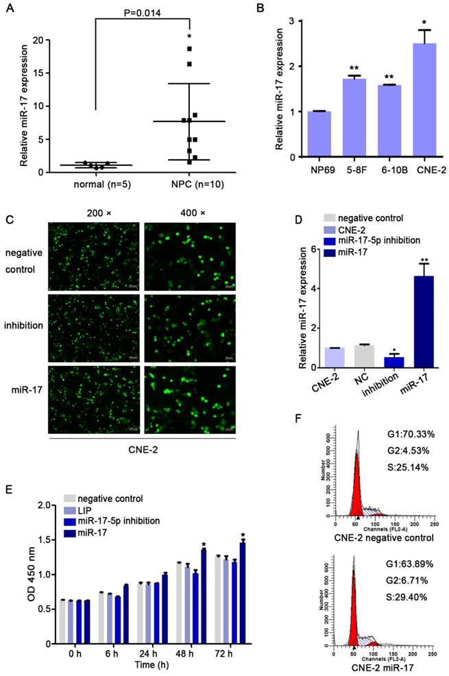 J Cancer Image