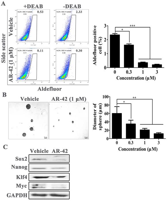 J Cancer Image