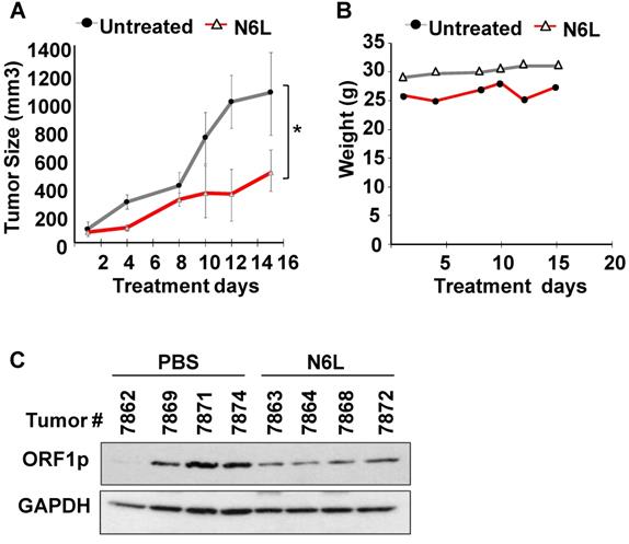 J Cancer Image