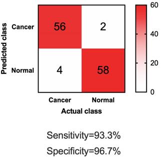 J Cancer Image