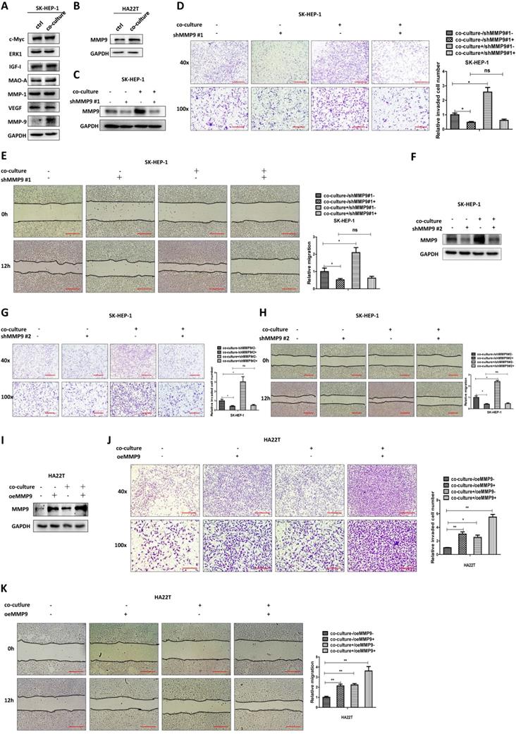 J Cancer Image