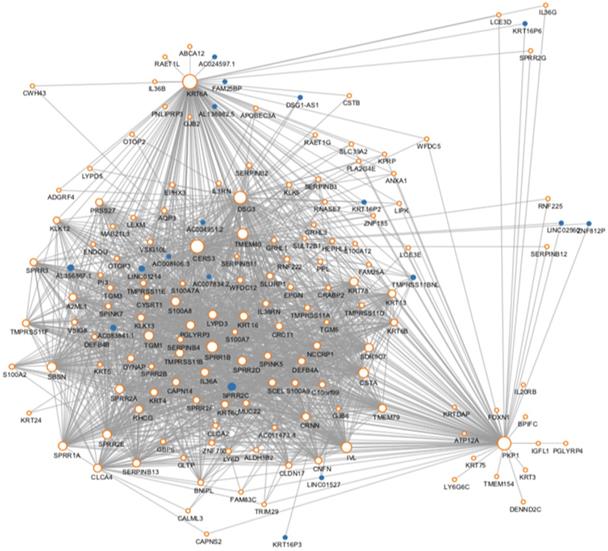 Identification of key genes and pathways associated with esophageal ...