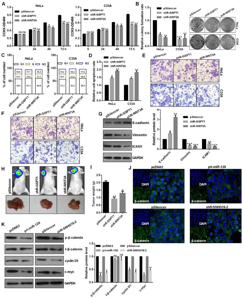 J Cancer Image