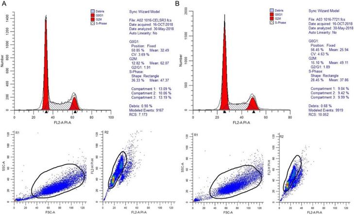 J Cancer Image