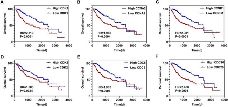 J Cancer Image