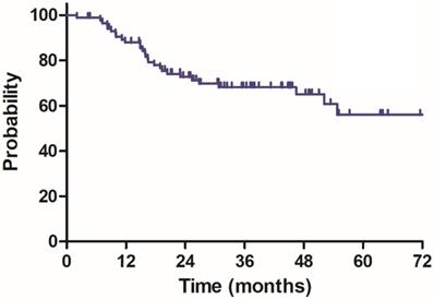 J Cancer Image