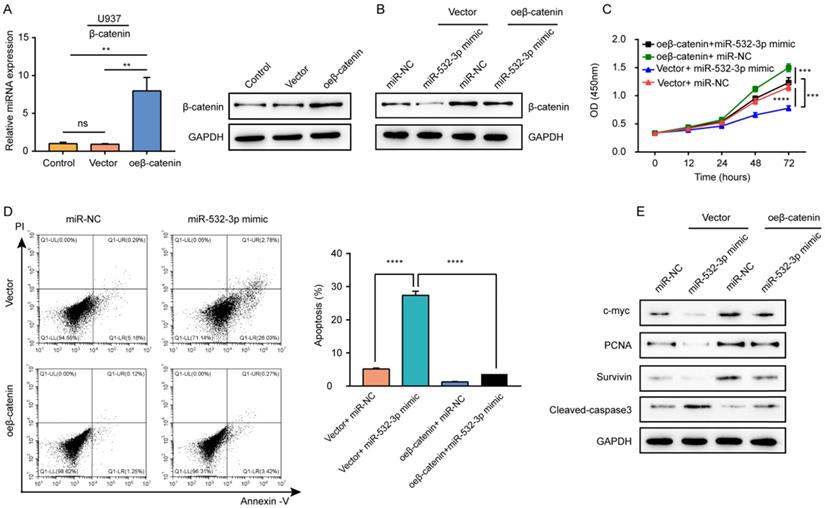 J Cancer Image