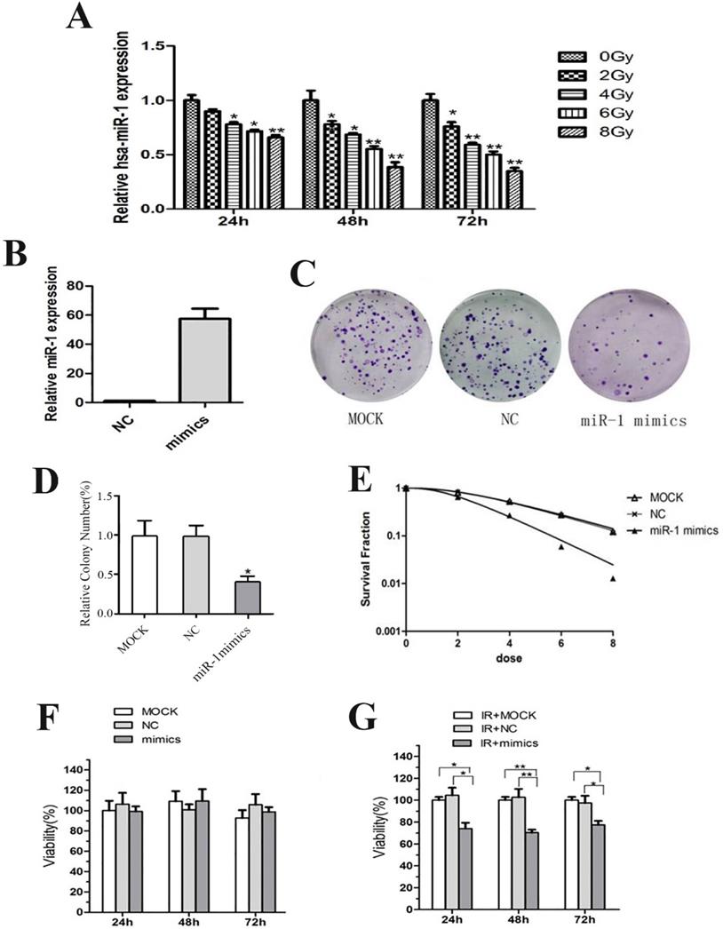 J Cancer Image