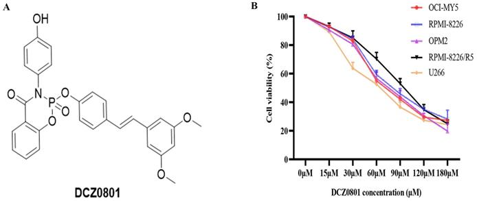 J Cancer Image