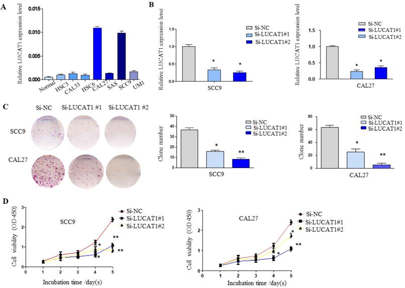 J Cancer Image