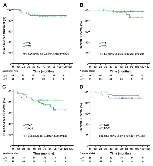 J Cancer Image