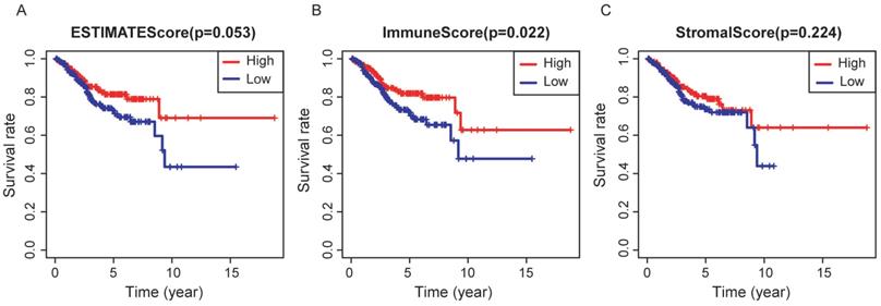 J Cancer Image