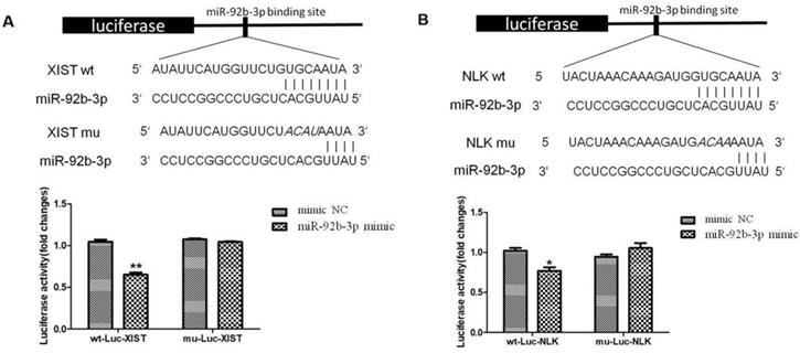 J Cancer Image