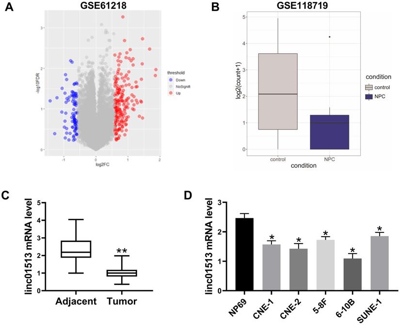 J Cancer Image