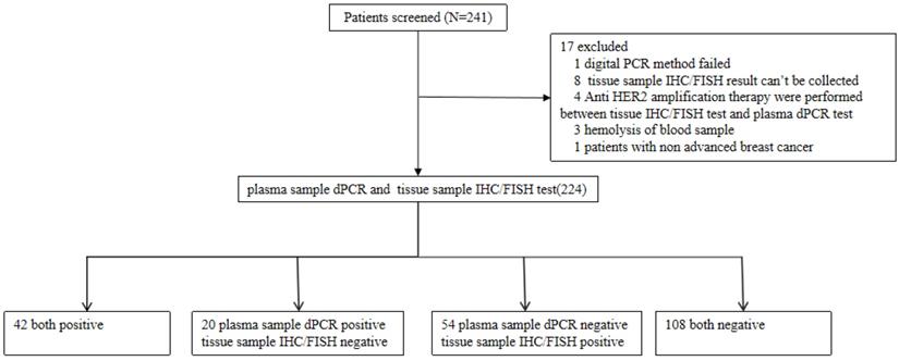 J Cancer Image