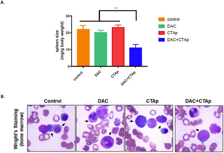 J Cancer Image