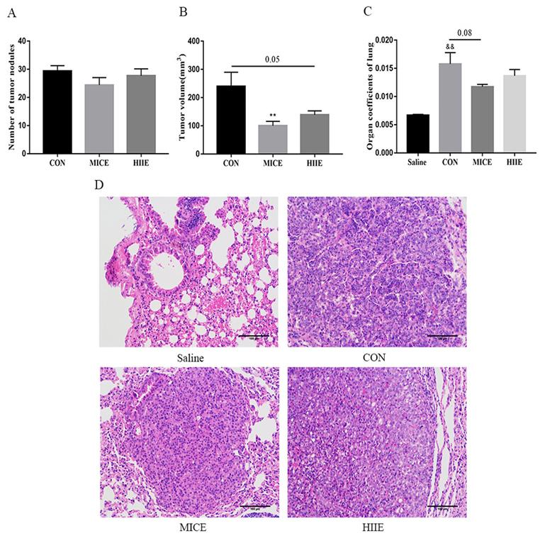 J Cancer Image