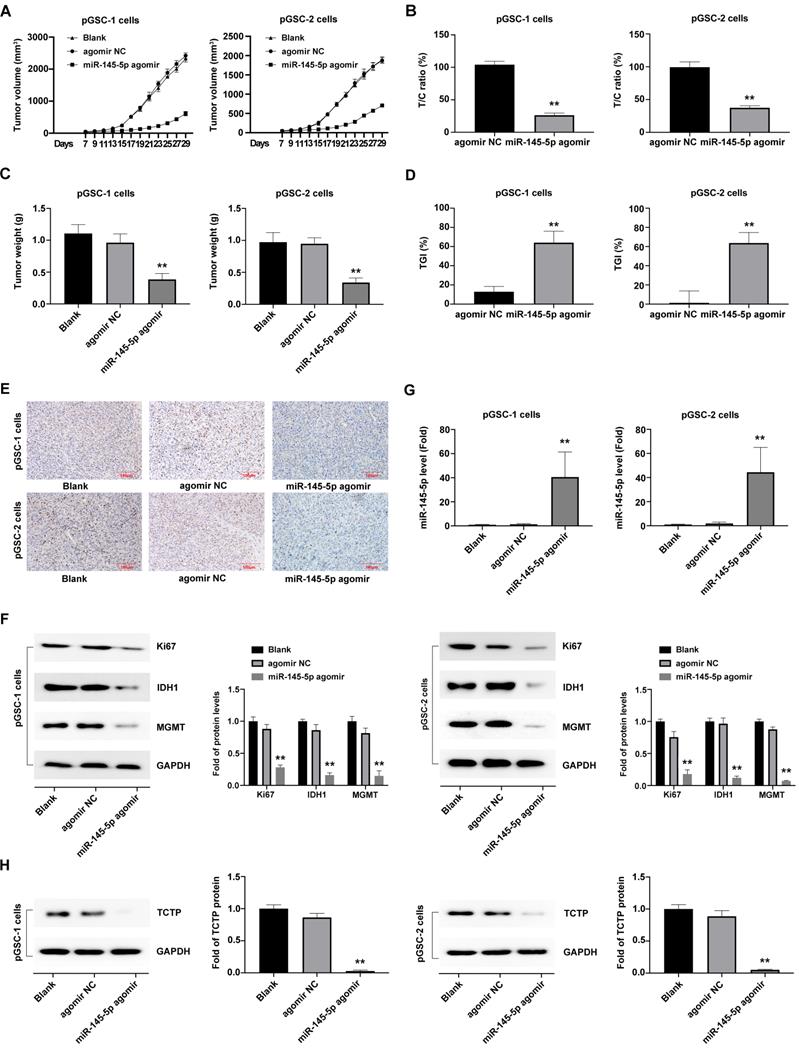 J Cancer Image