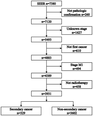 J Cancer Image