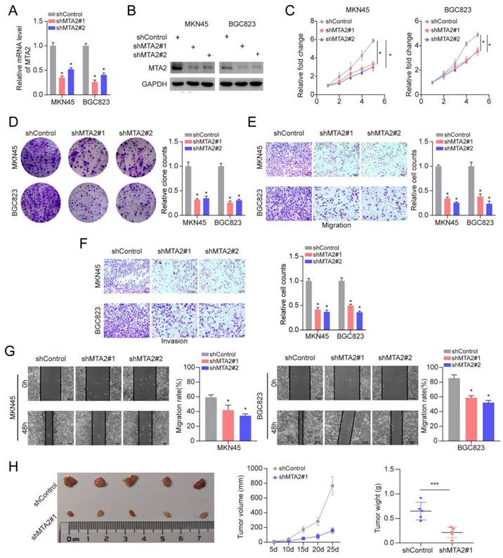 J Cancer Image