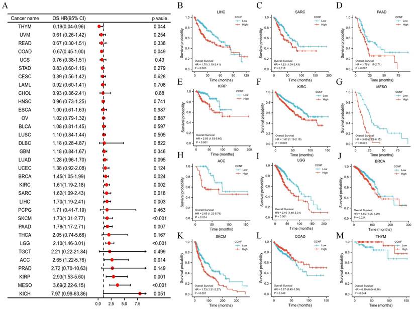 J Cancer Image