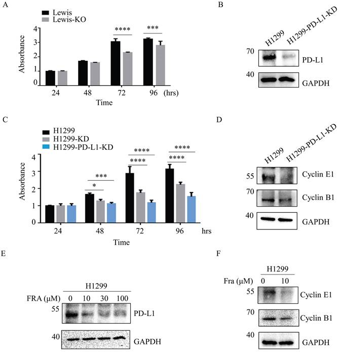 J Cancer Image